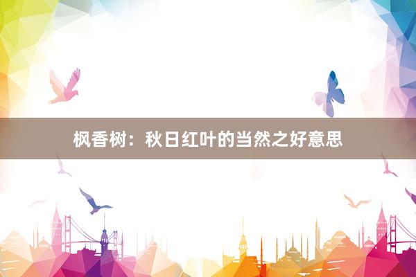枫香树：秋日红叶的当然之好意思